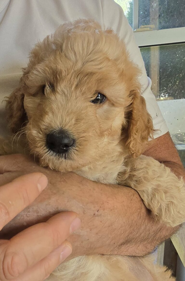 4e23f30f-c143-44ba-b38c-4f644462c0c3